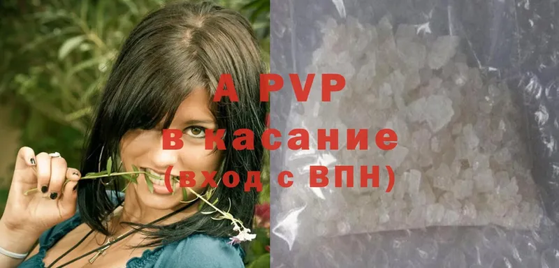 A PVP СК  Малаховка 